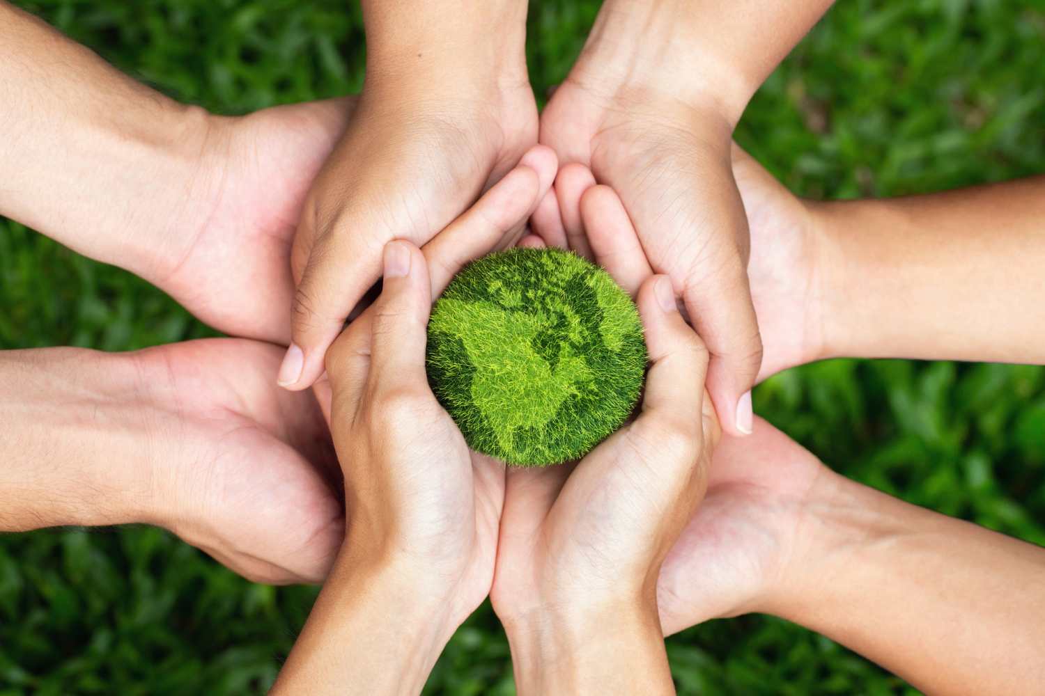 Environmental Health Banner