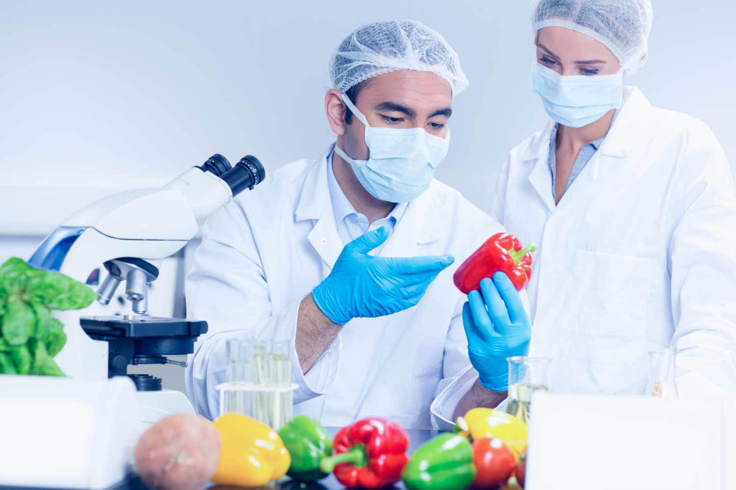 Food Science Banner